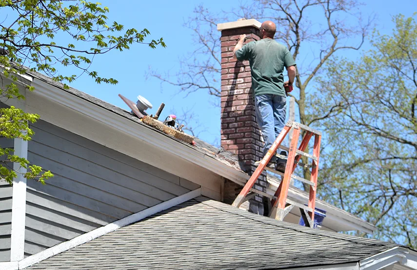 Chimney & Fireplace Inspections Services in Maryville, TN
